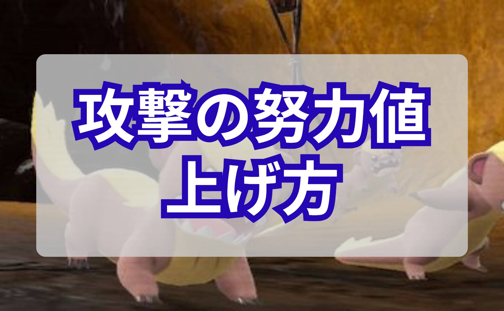 攻撃の努力値の上げ方