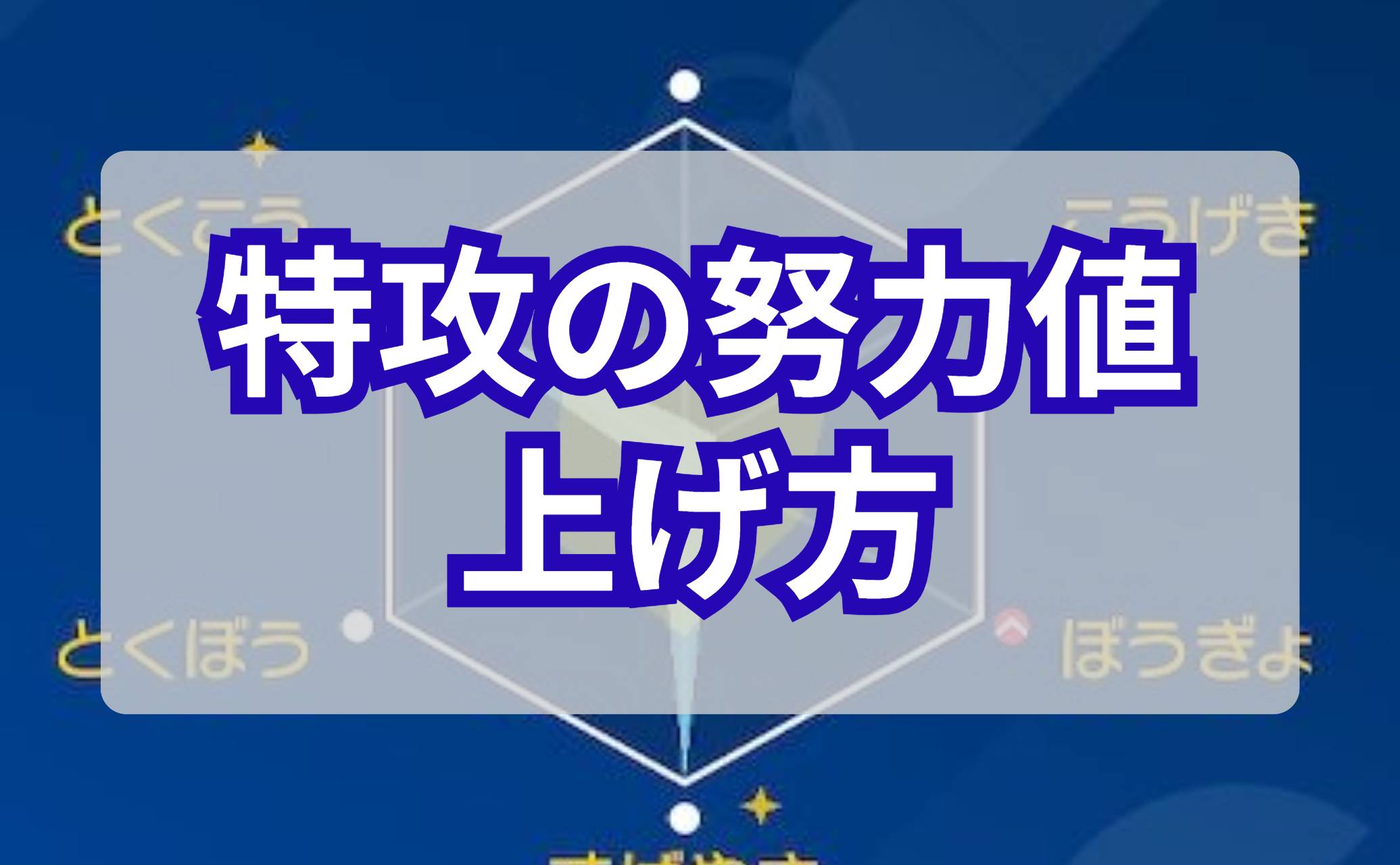 特攻の努力値の上げ方